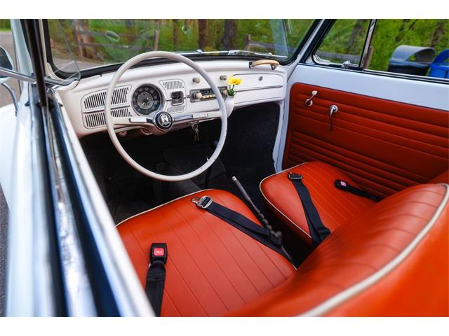 1965 Volkswagen Beetle (CC-2071824) for sale in Sioux Falls, South Dakota