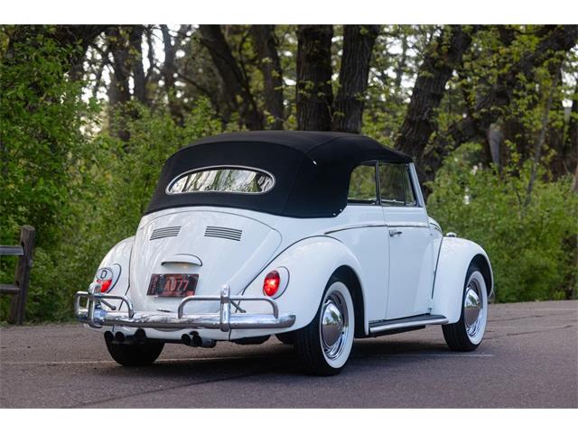 1965 Volkswagen Beetle (CC-2071824) for sale in Sioux Falls, South Dakota