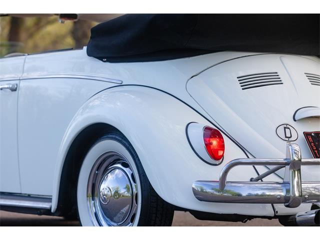 1965 Volkswagen Beetle (CC-2071824) for sale in Sioux Falls, South Dakota