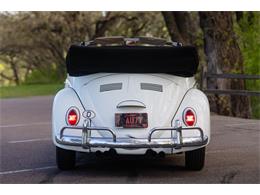 1965 Volkswagen Beetle (CC-2071824) for sale in Sioux Falls, South Dakota