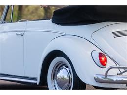 1965 Volkswagen Beetle (CC-2071824) for sale in Sioux Falls, South Dakota