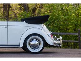 1965 Volkswagen Beetle (CC-2071824) for sale in Sioux Falls, South Dakota