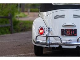 1965 Volkswagen Beetle (CC-2071824) for sale in Sioux Falls, South Dakota