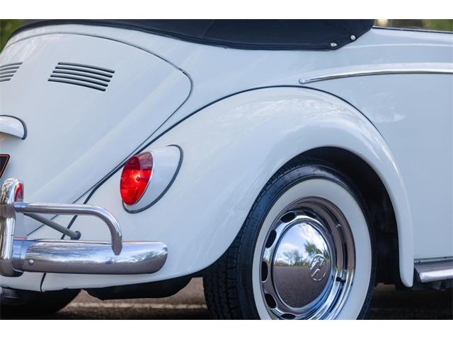 1965 Volkswagen Beetle (CC-2071824) for sale in Sioux Falls, South Dakota