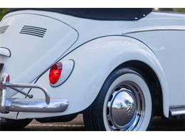 1965 Volkswagen Beetle (CC-2071824) for sale in Sioux Falls, South Dakota