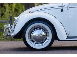 1965 Volkswagen Beetle (CC-2071824) for sale in Sioux Falls, South Dakota