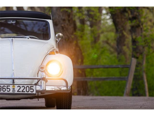 1965 Volkswagen Beetle (CC-2071824) for sale in Sioux Falls, South Dakota