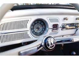 1965 Volkswagen Beetle (CC-2071824) for sale in Sioux Falls, South Dakota