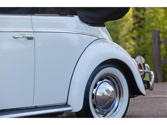 1965 Volkswagen Beetle (CC-2071824) for sale in Sioux Falls, South Dakota