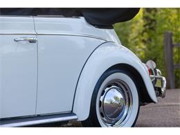 1965 Volkswagen Beetle (CC-2071824) for sale in Sioux Falls, South Dakota