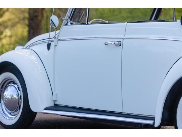 1965 Volkswagen Beetle (CC-2071824) for sale in Sioux Falls, South Dakota