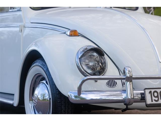 1965 Volkswagen Beetle (CC-2071824) for sale in Sioux Falls, South Dakota