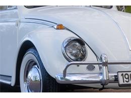 1965 Volkswagen Beetle (CC-2071824) for sale in Sioux Falls, South Dakota