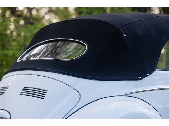 1965 Volkswagen Beetle (CC-2071824) for sale in Sioux Falls, South Dakota