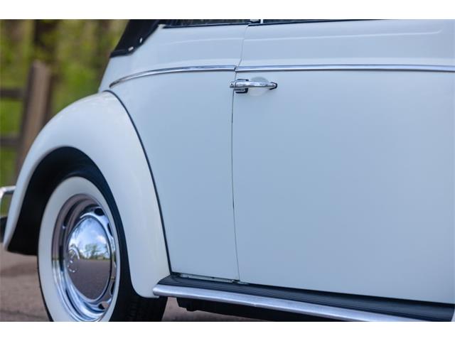 1965 Volkswagen Beetle (CC-2071824) for sale in Sioux Falls, South Dakota
