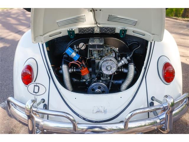 1965 Volkswagen Beetle (CC-2071824) for sale in Sioux Falls, South Dakota