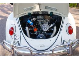 1965 Volkswagen Beetle (CC-2071824) for sale in Sioux Falls, South Dakota