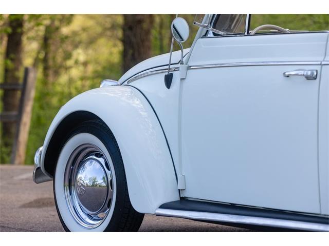 1965 Volkswagen Beetle (CC-2071824) for sale in Sioux Falls, South Dakota