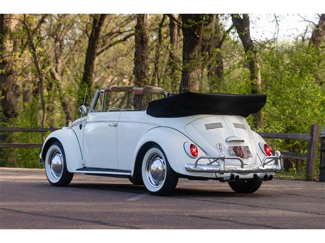 1965 Volkswagen Beetle (CC-2071824) for sale in Sioux Falls, South Dakota