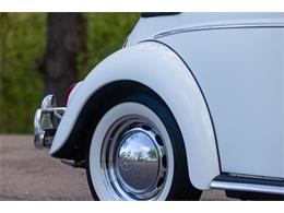 1965 Volkswagen Beetle (CC-2071824) for sale in Sioux Falls, South Dakota
