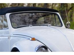 1965 Volkswagen Beetle (CC-2071824) for sale in Sioux Falls, South Dakota