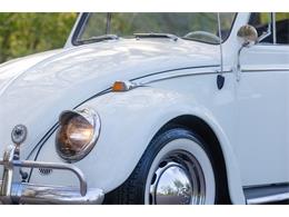 1965 Volkswagen Beetle (CC-2071824) for sale in Sioux Falls, South Dakota