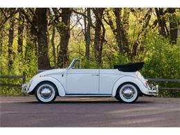 1965 Volkswagen Beetle (CC-2071824) for sale in Sioux Falls, South Dakota