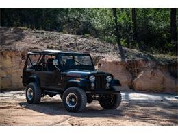 1982 Jeep CJ8 Scrambler (CC-2071847) for sale in Aiken, South Carolina