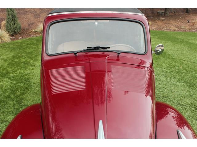 1950 Fiat 500 (CC-2071862) for sale in Greeley, Colorado