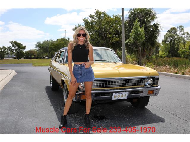 1971 Chevrolet Nova (CC-2071888) for sale in Fort Myers, Florida