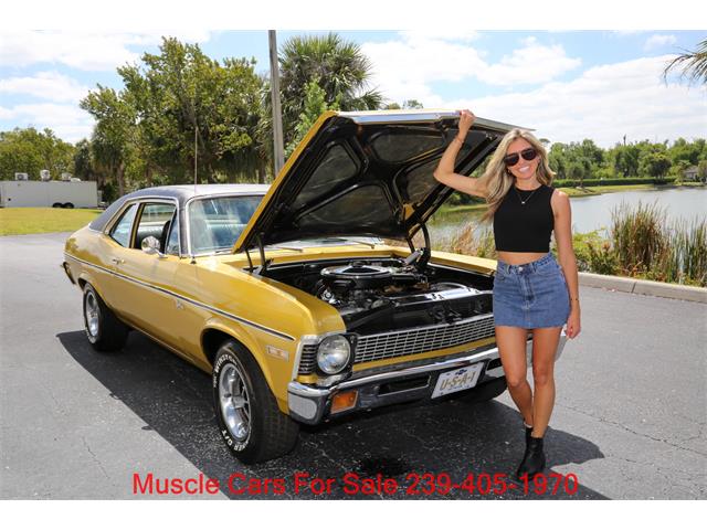 1971 Chevrolet Nova (CC-2071888) for sale in Fort Myers, Florida