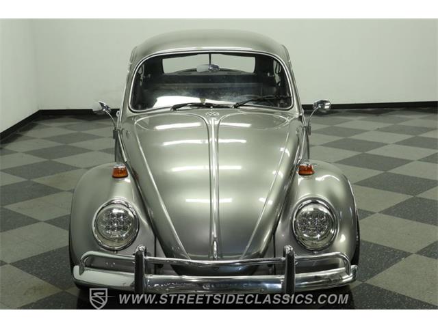 1966 Volkswagen Beetle (CC-2071956) for sale in Lutz, Florida