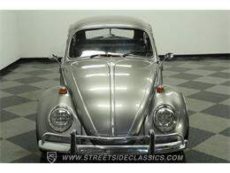 1966 Volkswagen Beetle (CC-2071956) for sale in Lutz, Florida