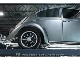 1966 Volkswagen Beetle (CC-2071956) for sale in Lutz, Florida