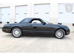 2004 Ford Thunderbird (CC-2071960) for sale in Houston, Texas