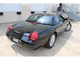 2004 Ford Thunderbird (CC-2071960) for sale in Houston, Texas