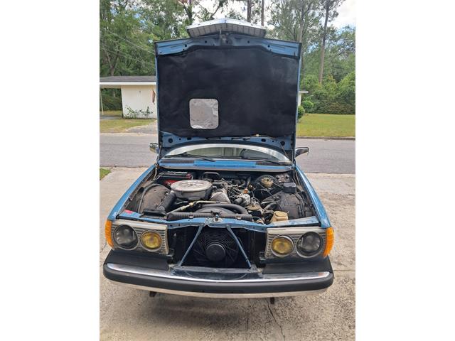 1982 Mercedes-Benz 240D (CC-2070198) for sale in Jesup, Georgia