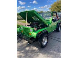 1995 Jeep Wrangler (CC-2071983) for sale in Cadillac, Michigan