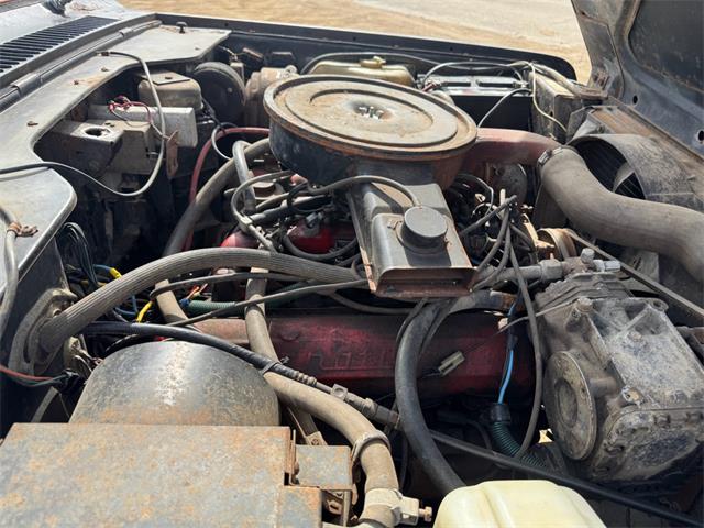 1977 International Harvester Scout II (CC-2071987) for sale in Brookings, South Dakota