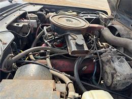 1977 International Harvester Scout II (CC-2071987) for sale in Brookings, South Dakota