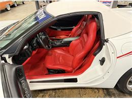2004 Chevrolet Corvette (Indy 500 Pace Car) (CC-2070200) for sale in Grass Valley, California