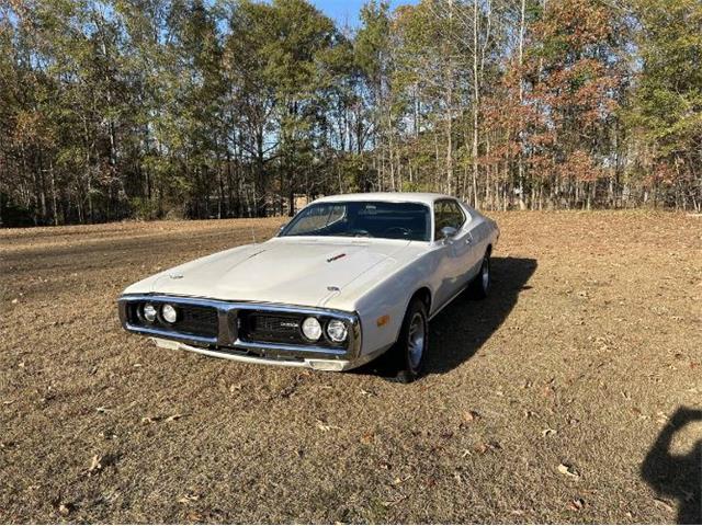 1973 Dodge Charger (CC-2072002) for sale in Cadillac, Michigan