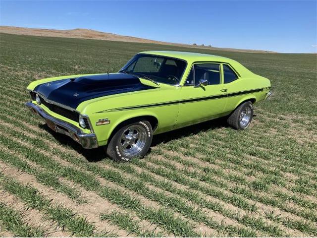 1971 Chevrolet Nova (CC-2072021) for sale in Cadillac, Michigan