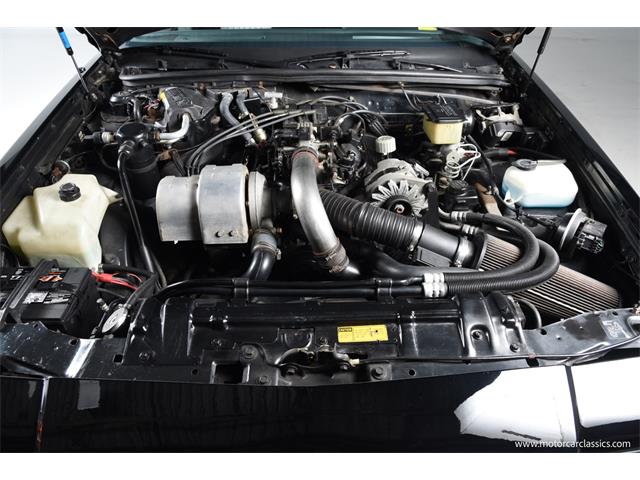 1986 Buick Regal (CC-2072030) for sale in Farmingdale, New York