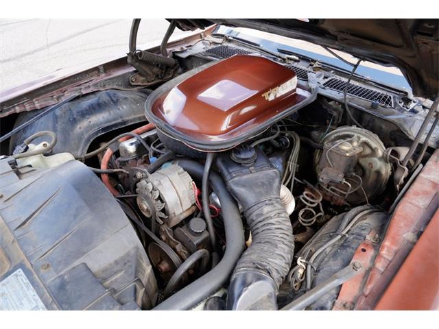 1978 Pontiac Firebird (CC-2072047) for sale in Ramsey, Minnesota