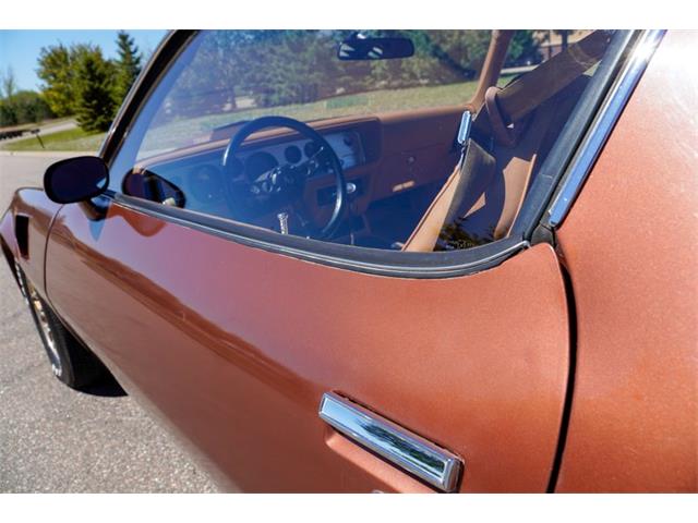 1978 Pontiac Firebird (CC-2072047) for sale in Ramsey, Minnesota