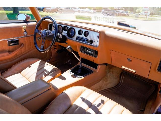 1978 Pontiac Firebird (CC-2072047) for sale in Ramsey, Minnesota