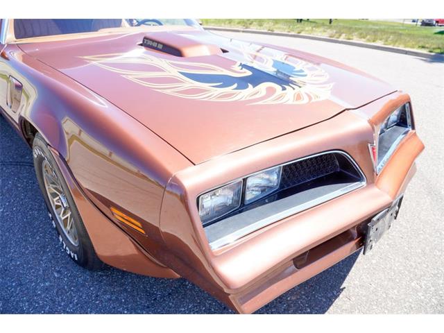 1978 Pontiac Firebird (CC-2072047) for sale in Ramsey, Minnesota