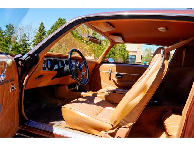 1978 Pontiac Firebird (CC-2072047) for sale in Ramsey, Minnesota