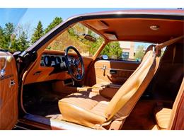 1978 Pontiac Firebird (CC-2072047) for sale in Ramsey, Minnesota